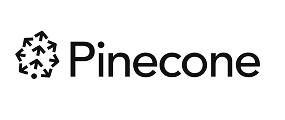 ai automation Pinecone
